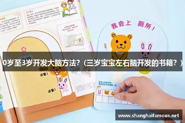 0岁至3岁开发大脑方法？(三岁宝宝左右脑开发的书籍？)