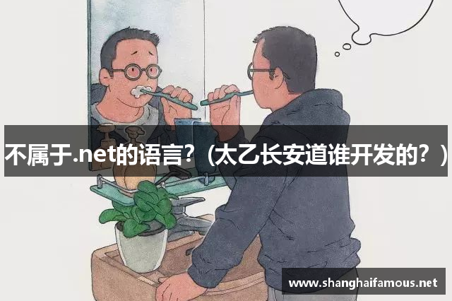 不属于.net的语言？(太乙长安道谁开发的？)